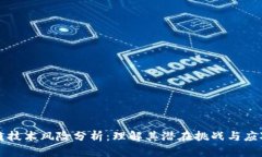 区块链技术风险分析：理解其潜在挑战与应对策