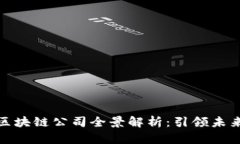 : 韩国量子区块链公司全景解析：引领未来科技的