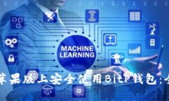 如何在苹果版上安全使用BitP钱包：全面指南