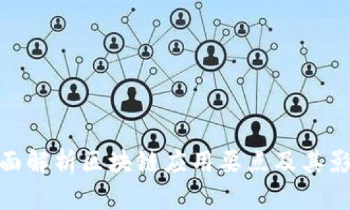 全面解析区块链应用要点及其影响