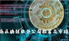  全南区块链软件公司推荐及市场分析