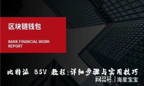 比特派 BSV 教程：详细步骤与实用技巧
