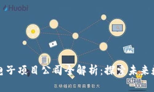 区块链电子项目公司全解析：探索未来数字经济
