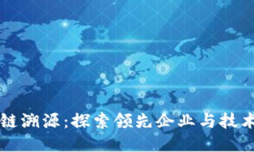 区块链溯源：探索领先企业与技术创新