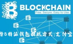如何选择B特派钱包提现方式：支付宝或微信？