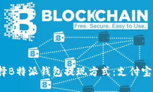 如何选择B特派钱包提现方式：支付宝或微信？