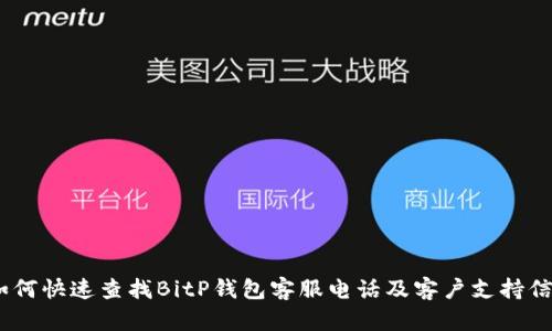 :如何快速查找BitP钱包客服电话及客户支持信息
