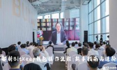 全面解析BitKeep钱包操作流程：新手指南与进阶技