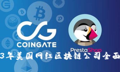 2023年美国网红区块链公司全面分析