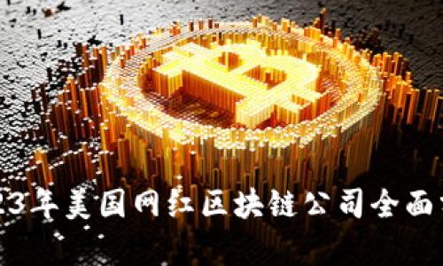 2023年美国网红区块链公司全面分析