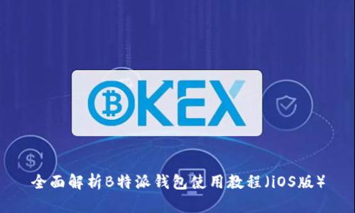 全面解析B特派钱包使用教程（iOS版）