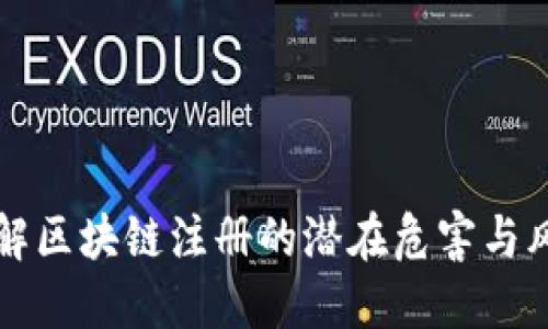深入了解区块链注册的潜在危害与风险管理