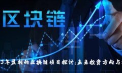 2023年盈利的区块链项目探讨：未来投资方向与机