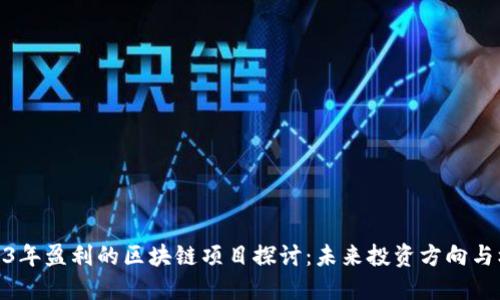 2023年盈利的区块链项目探讨：未来投资方向与机遇