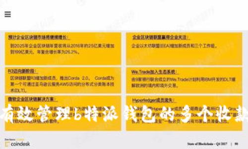 如何有效管理b特派钱包的多个收款地址