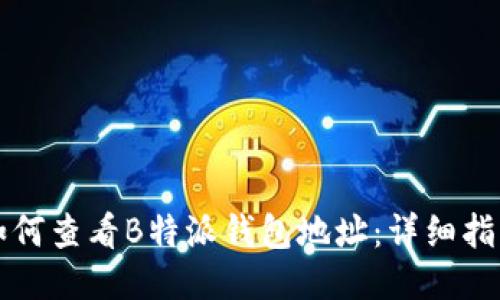 如何查看B特派钱包地址：详细指南