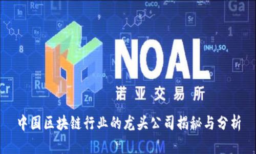 中国区块链行业的龙头公司揭秘与分析