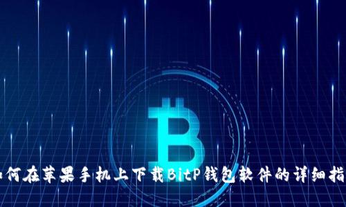 如何在苹果手机上下载BitP钱包软件的详细指南