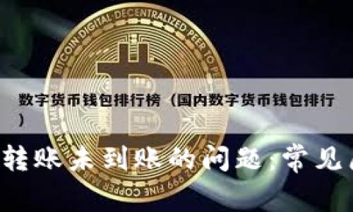 如何解决B特派转账未到账的问题：常见原因及解决方案