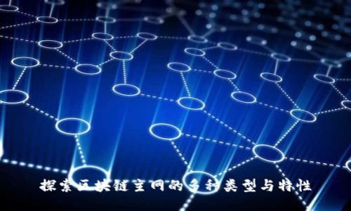 探索区块链主网的多种类型与特性