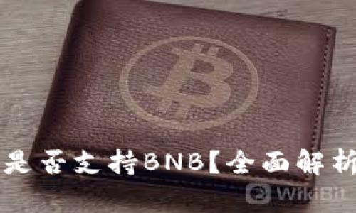 比特派钱包是否支持BNB？全面解析及使用指南