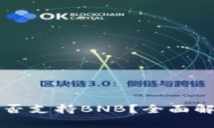 比特派钱包是否支持BNB？全面解析及使用指南