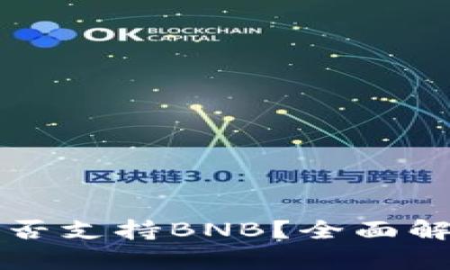 比特派钱包是否支持BNB？全面解析及使用指南