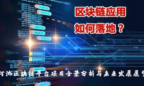 河池区块链平台项目全景分析与未来发展展望