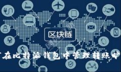 如何在比特派钱包中管理转账旷工费
