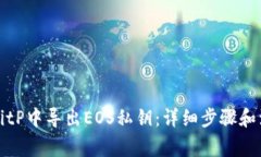 如何在BitP中导出EOS私钥：详细步骤和注意事项