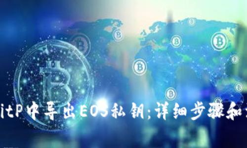 如何在BitP中导出EOS私钥：详细步骤和注意事项