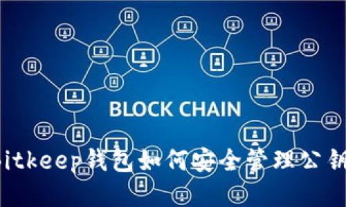 Bitkeep钱包如何安全管理公钥？
