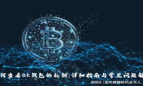 如何查看BK钱包的私钥：详细指南与常见问题解答