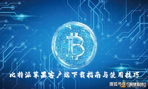 比特派苹果客户端下载指南与使用技巧