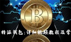 如何安装比特派钱包：详细视频教程及常见问题