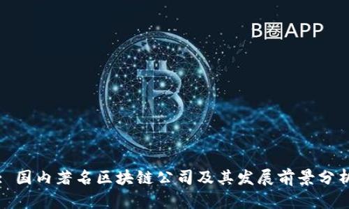 : 国内著名区块链公司及其发展前景分析