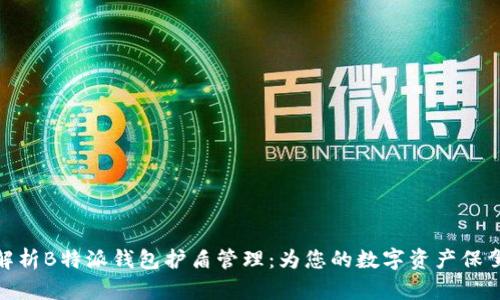 全面解析B特派钱包护盾管理：为您的数字资产保驾护航