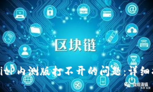 如何解决BitP内测版打不开的问题：详细指南与技巧