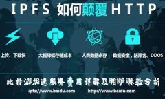 比特派加速服务费用详解及用户体验分析
