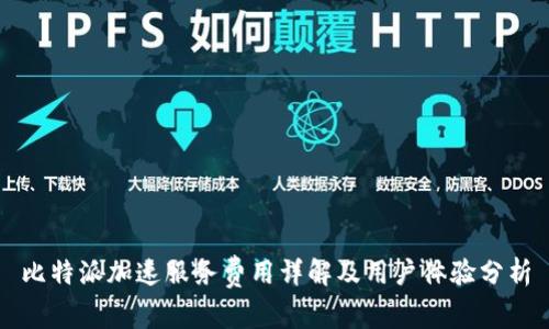 比特派加速服务费用详解及用户体验分析
