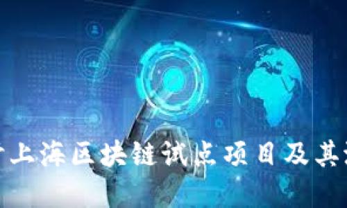 深入探讨上海区块链试点项目及其潜在影响