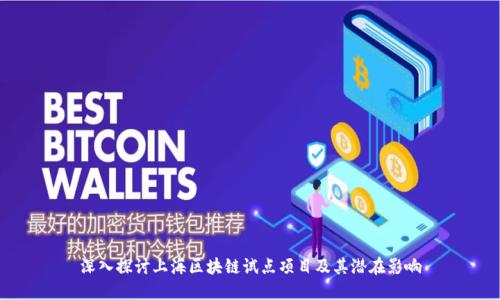 深入探讨上海区块链试点项目及其潜在影响