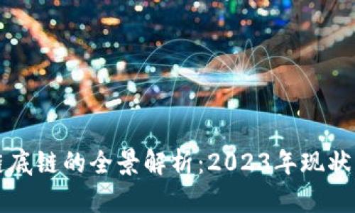 国内区块链底链的全景解析：2023年现状与未来发展