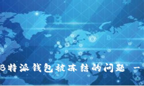 如何解决B特派钱包被冻结的问题 - 完整指南