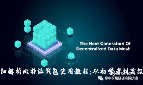 : 详细解析比特派钱包使用教程：从初学者到高级用户