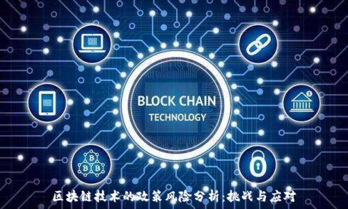   
区块链技术的政策风险分析：挑战与应对