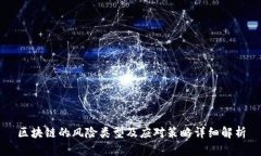 区块链的风险类型及应对策略详细解析