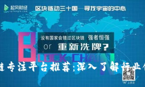 区块链专注平台推荐：深入了解行业领军者