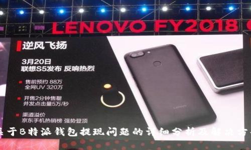 关于B特派钱包提现问题的详细分析及解决方案