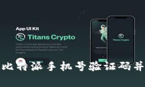 如何顺利获取比特派手机号验证码并解决常见问题